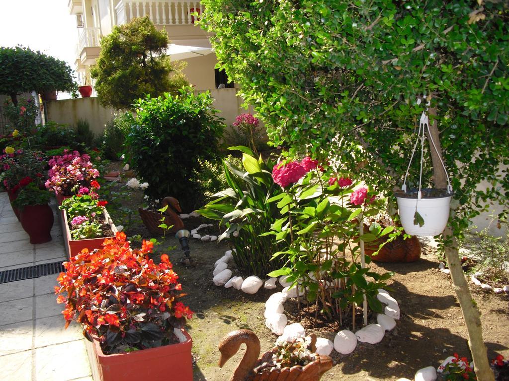 Hotel Dioni Paralia Katerinis Exterior photo