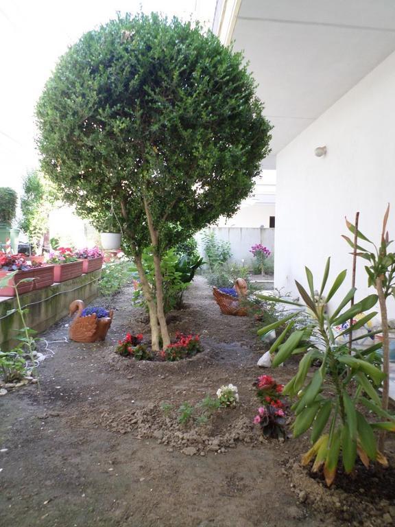 Hotel Dioni Paralia Katerinis Exterior photo