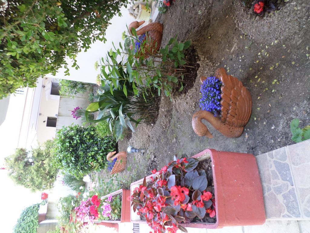 Hotel Dioni Paralia Katerinis Exterior photo